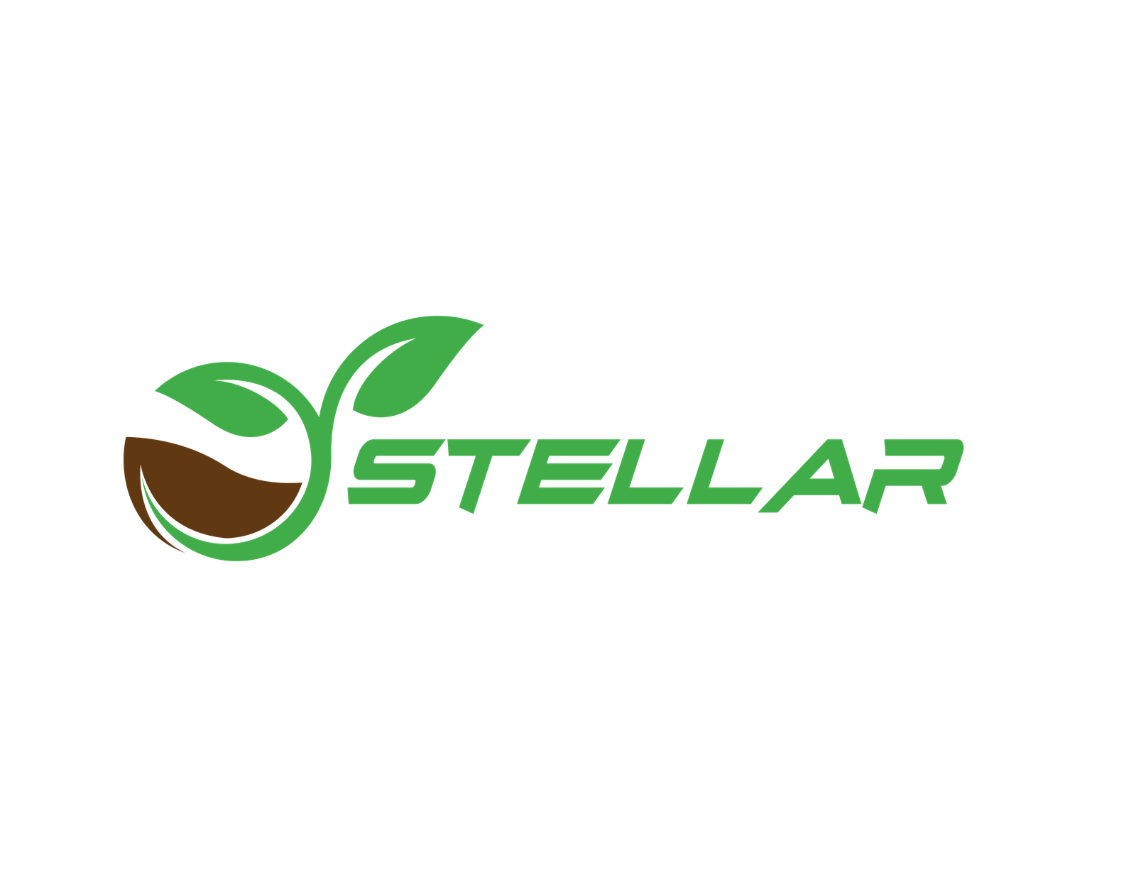 Stellar Seeds Corp. Logo